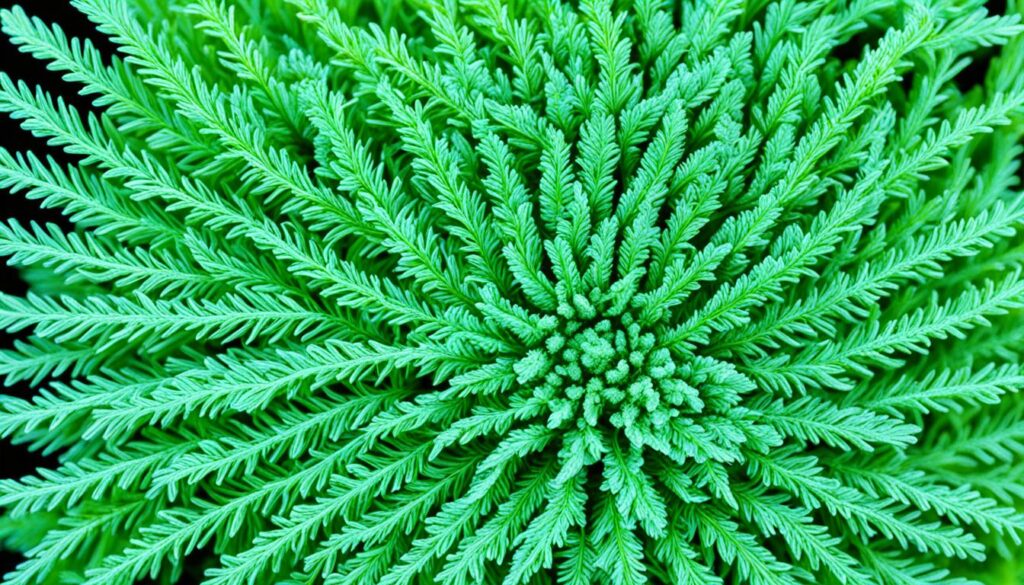 biodiversity research techniques